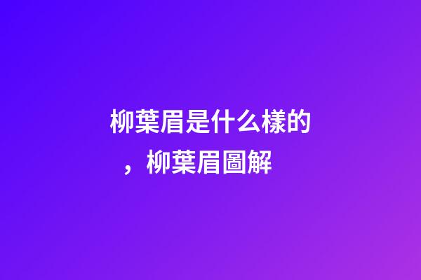 柳葉眉是什么樣的，柳葉眉圖解